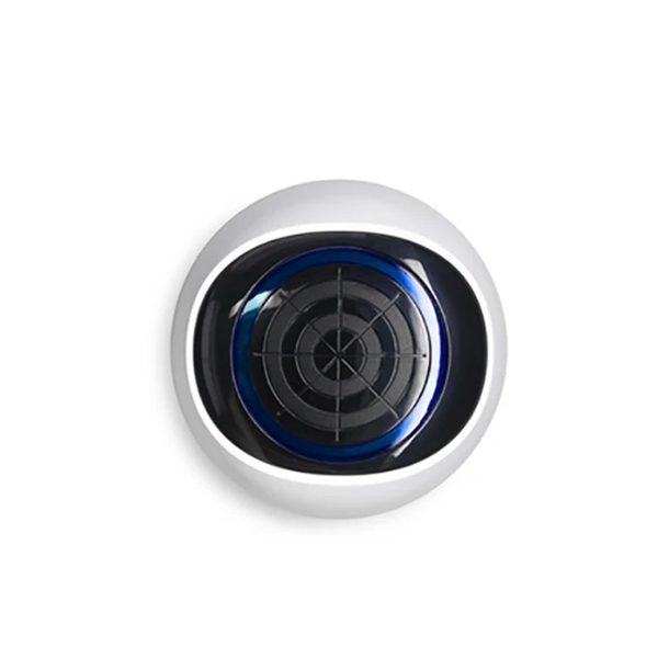 Файл:Eva 305a5be5 image-20240704-160912.png