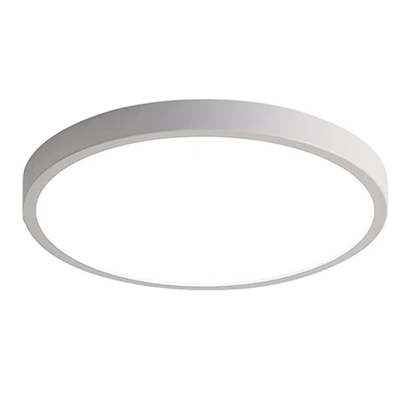 Файл:Eva bdc9d902 image-20231208-150701.png