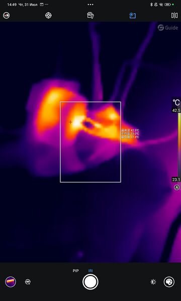 Файл:Eva ecc49d55 1753974202791.jpg